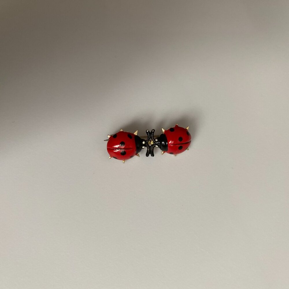 Vintage KOREA Ladybug Brooch Whimsigoth Twee Insect Bugs Bug Jewelry Pin Fairy - Picture 14 of 15